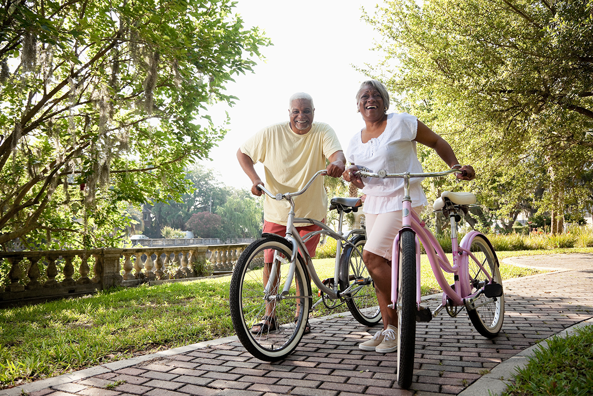 bicycles for seniors