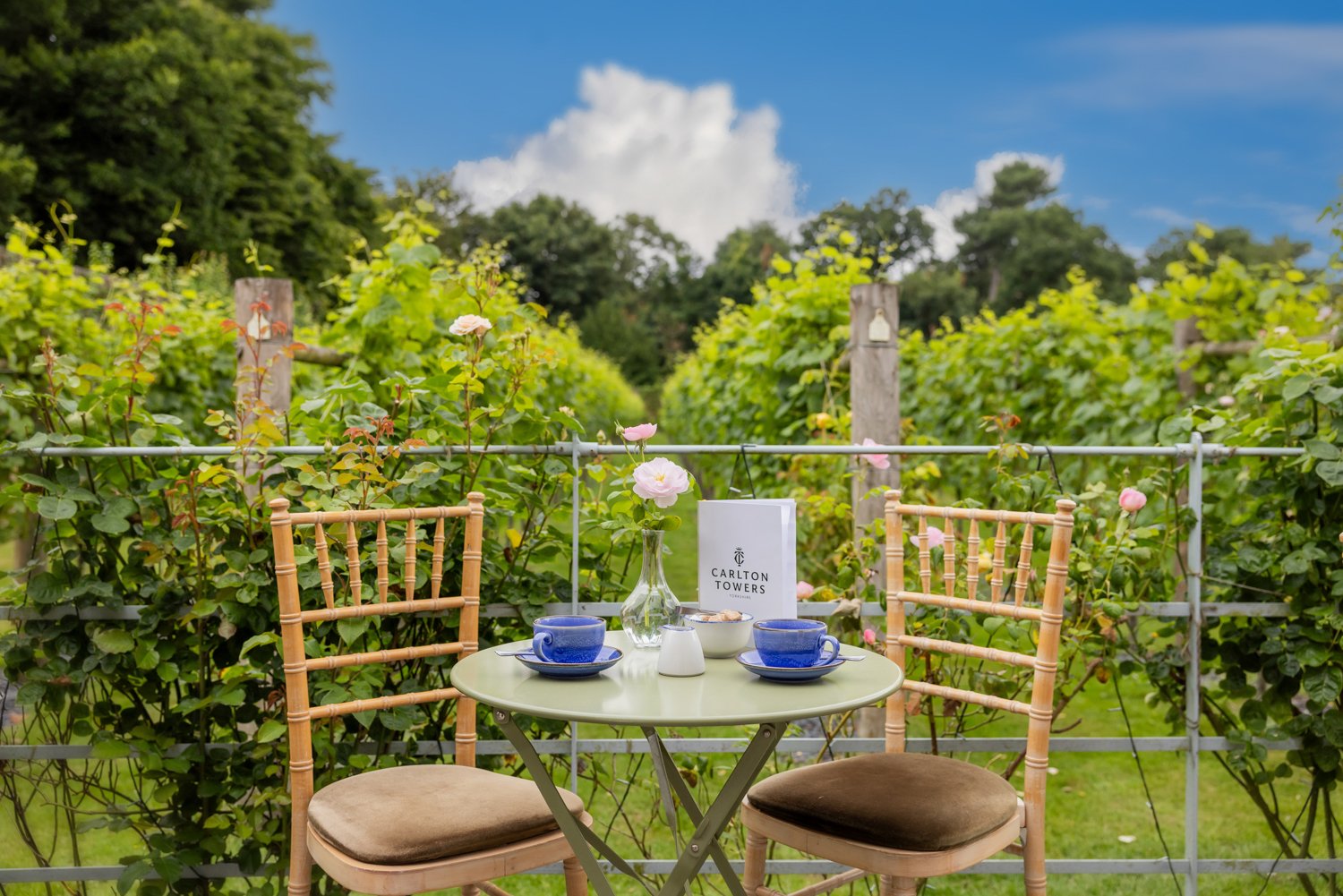 Vineyard Tour