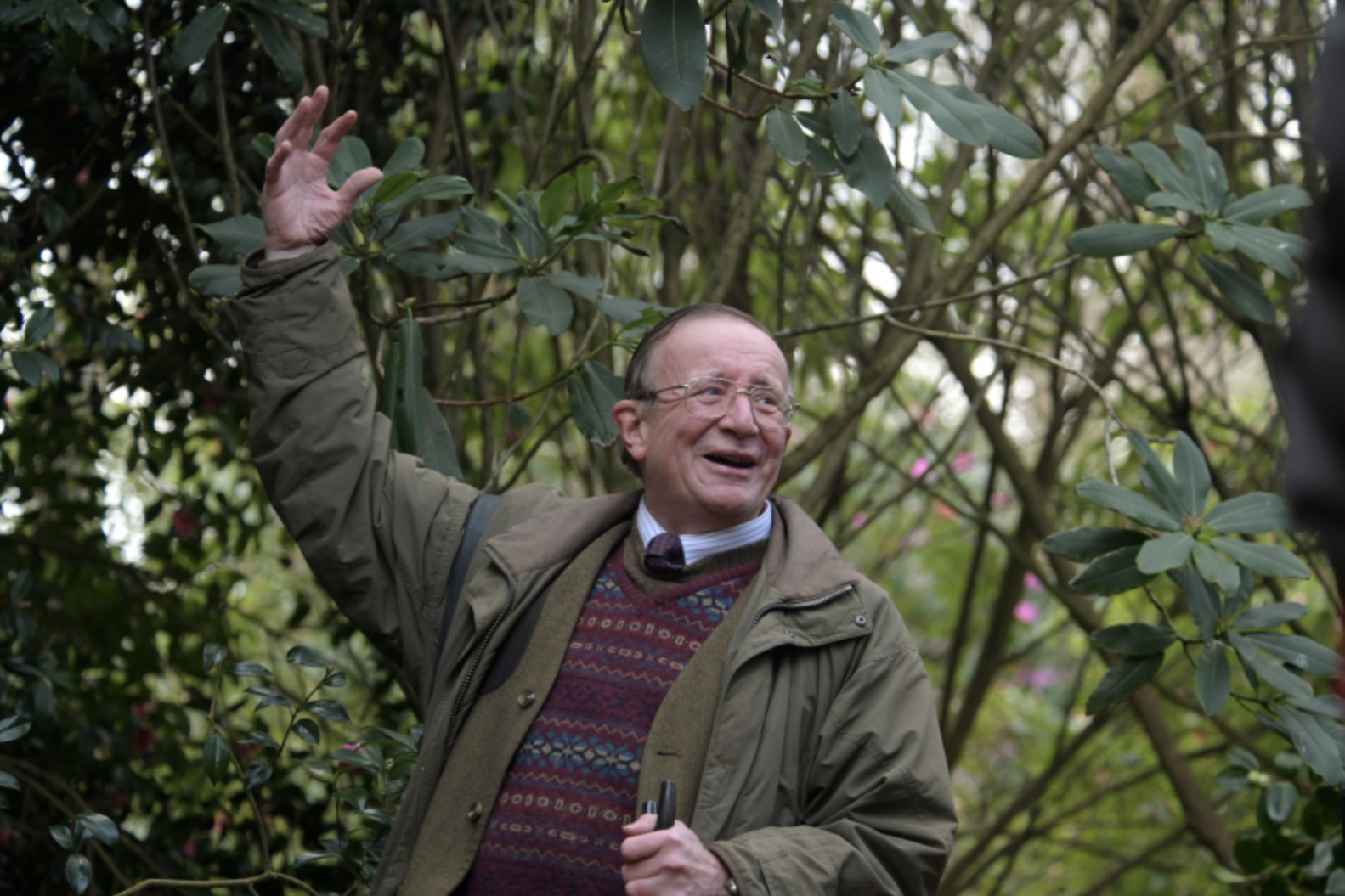 Lecture and Garden Tour with Charles Williams on the Camellia x williamsii