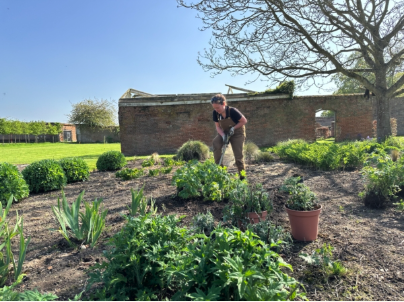 Gardening for Beginners Workshop