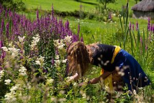 Summer Foraging at Blair Castle