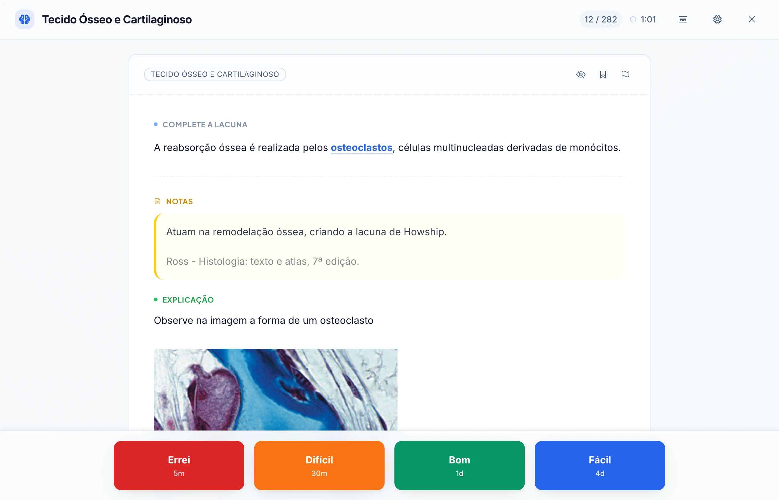Flashcards da Hertz - visualização 3
