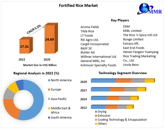 Fortified Rice Market - Industry Analysis and Forecast (2023-2029)