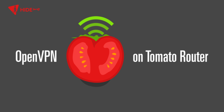 tomato router openvpn