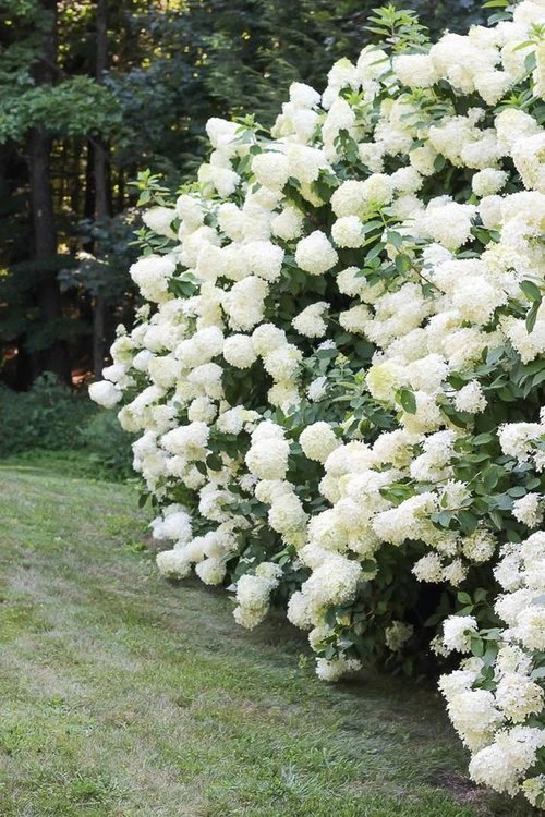 Elegant design detail — Highlake Baton Rouge design inspiration