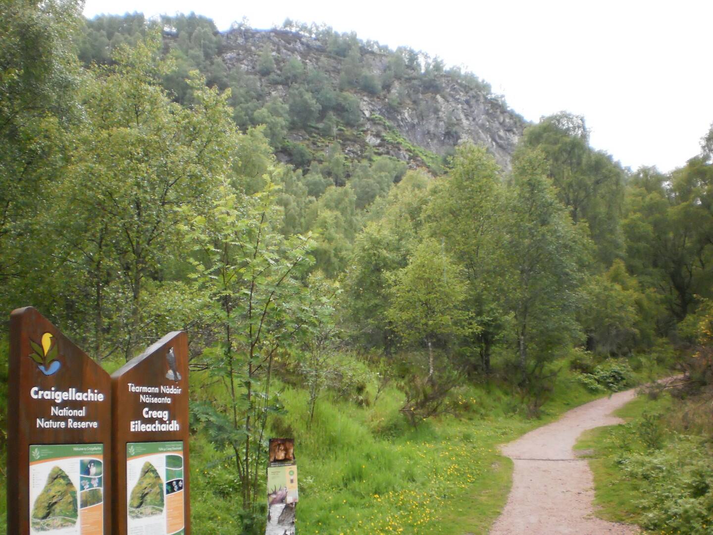 Craigellachie National Nature Reserve