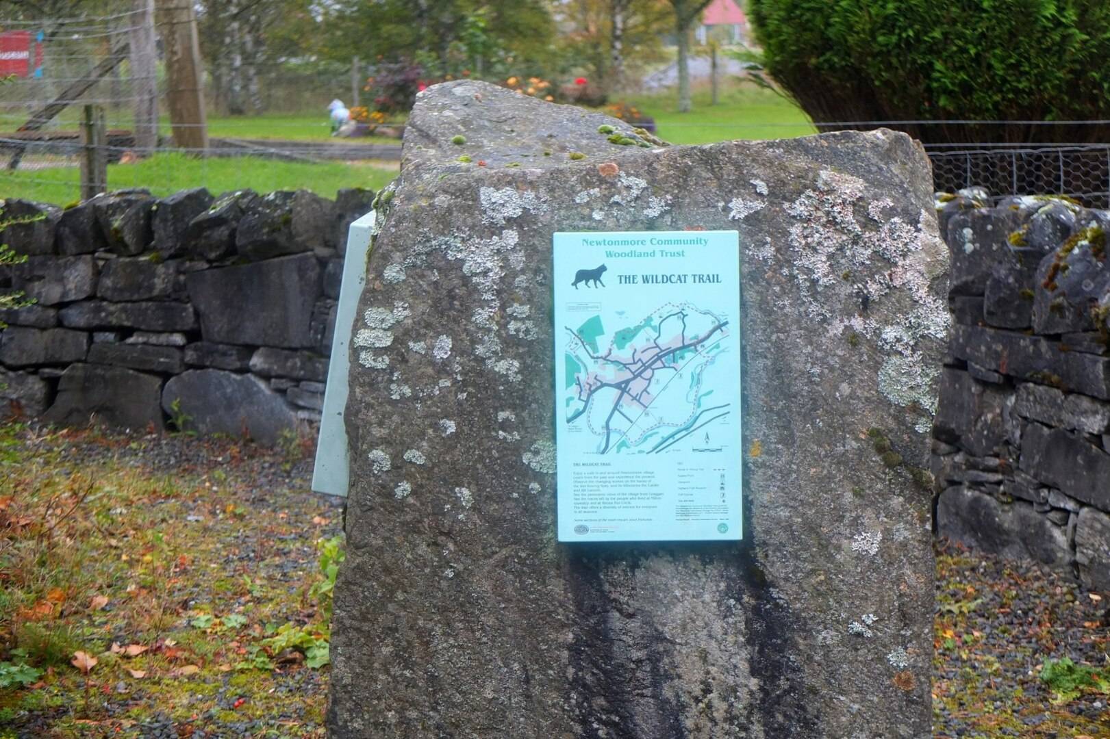 The Wildcat Trail