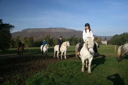 Rothiemurchus Highland Pony Trekking