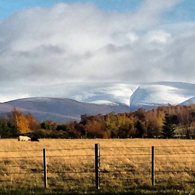 Kingussie Paths