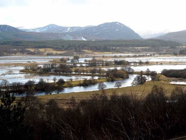 Insh Marshes RSPB