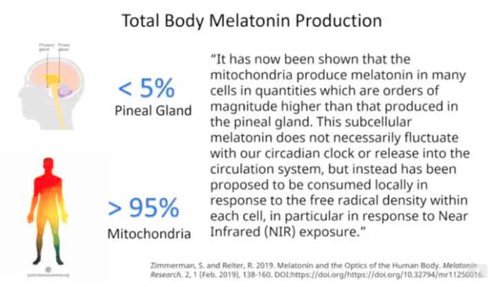 melatonin production not in pineal gland but in the mitochondria, jason yun dr. jack kruse 