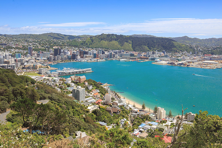 wellington