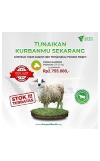 Domba / Kambing Premium