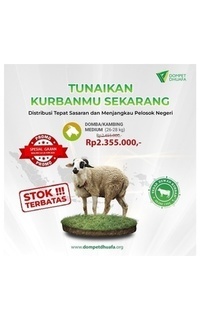 Domba / Kambing Medium