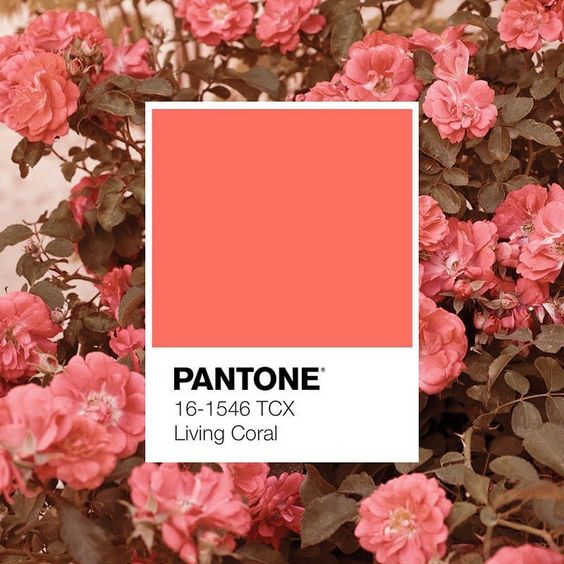 Tren-Lipstik-2019-Warna-Living-Coral--5-