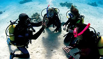 Dive In, Aegean Adventures Await