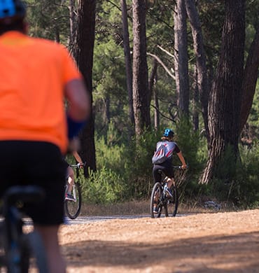 Trek door de wildernis en glij de heuvels af met een safaritoer van Hillside