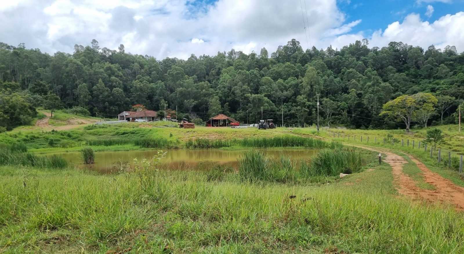 Fazenda, 411 hectares - Foto 1