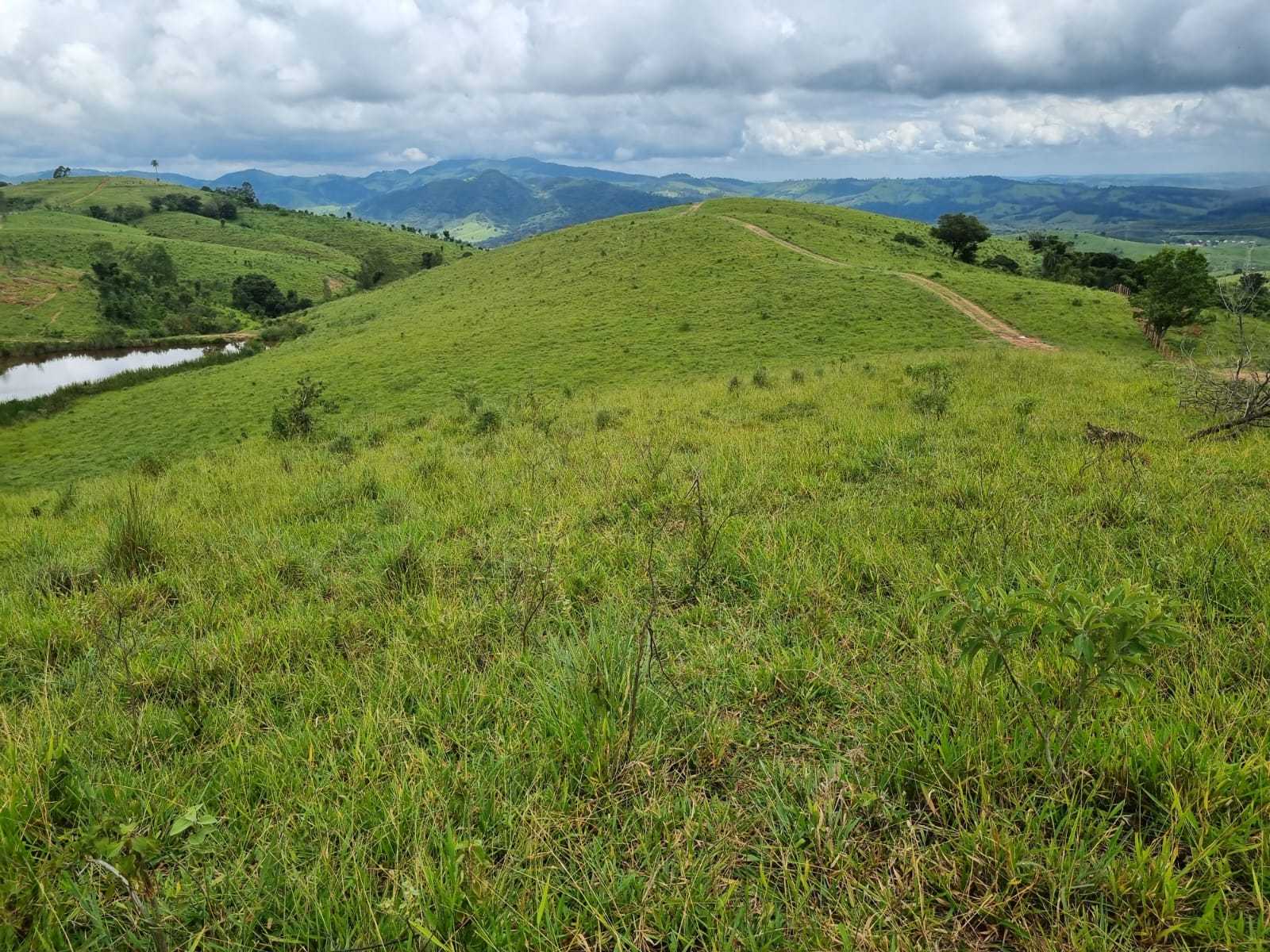 Chácara, 1 quarto, 411 hectares - Foto 24