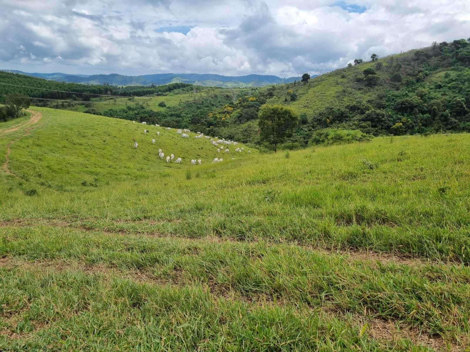 Chácara, 1 quarto, 411 hectares - Foto 23