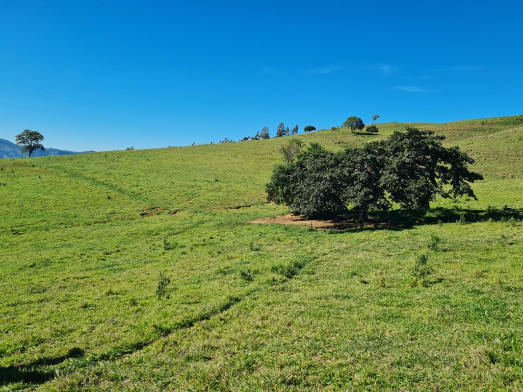 Chácara, 1 quarto, 411 hectares - Foto 25