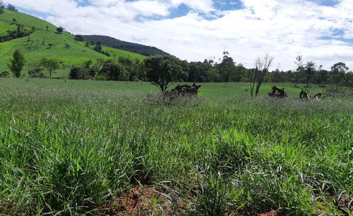 Chácara, 1 quarto, 411 hectares - Foto 14