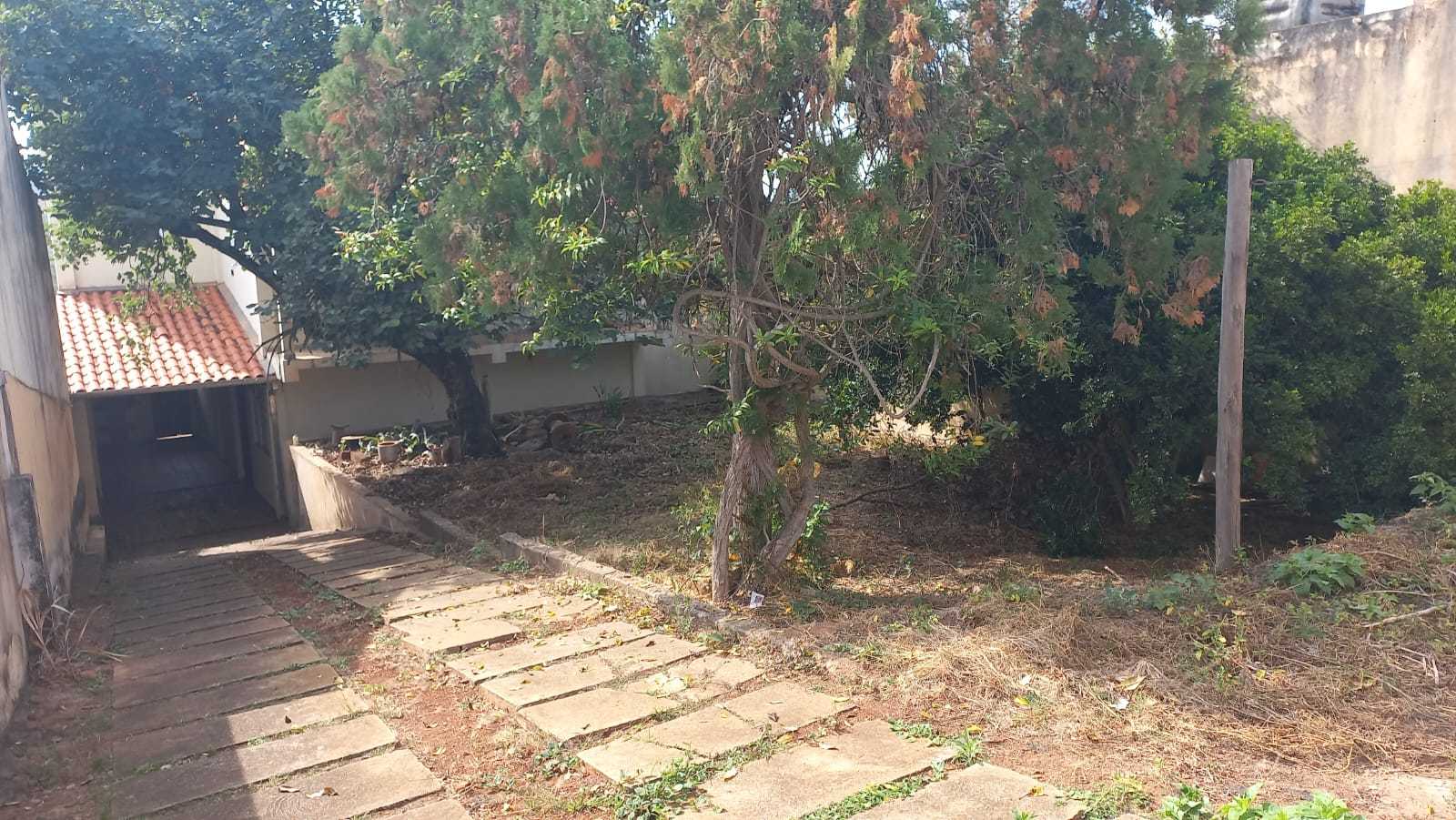 Casa, 4 quartos, 488 m² - Foto 3