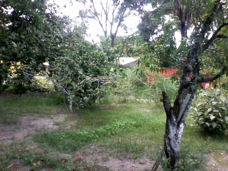 Chácara, 5 quartos - Foto 11