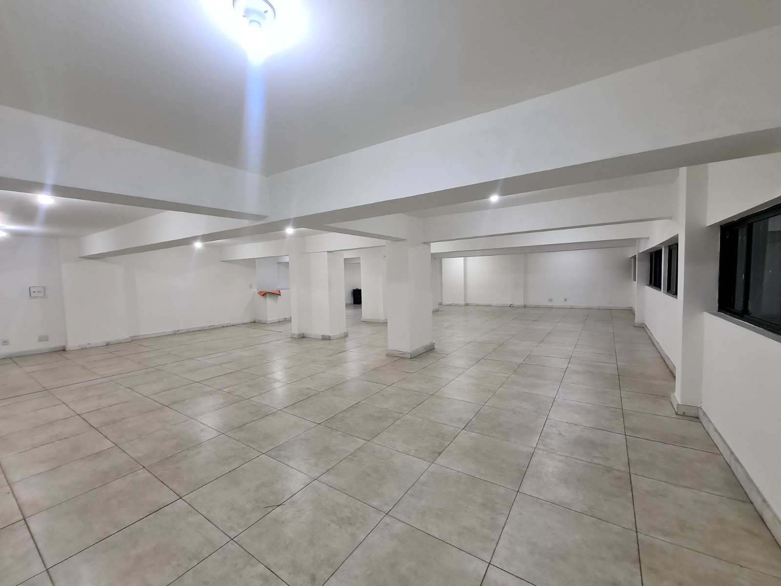 Sala-Conjunto, 380 m² - Foto 8