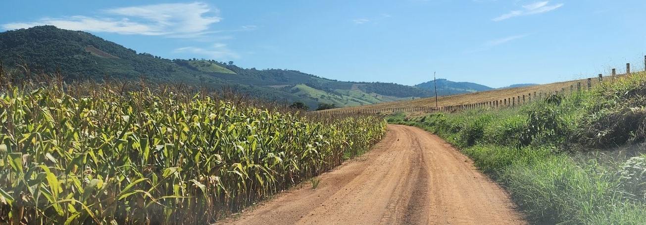 Chácara, 1 quarto, 164 hectares - Foto 7