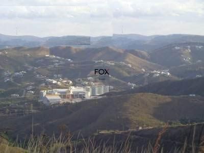 Terreno, 360 m² - Foto 3