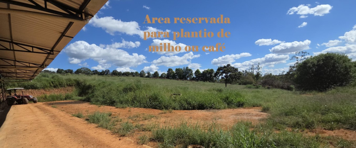 Chácara, 3 quartos, 92 hectares - Foto 8