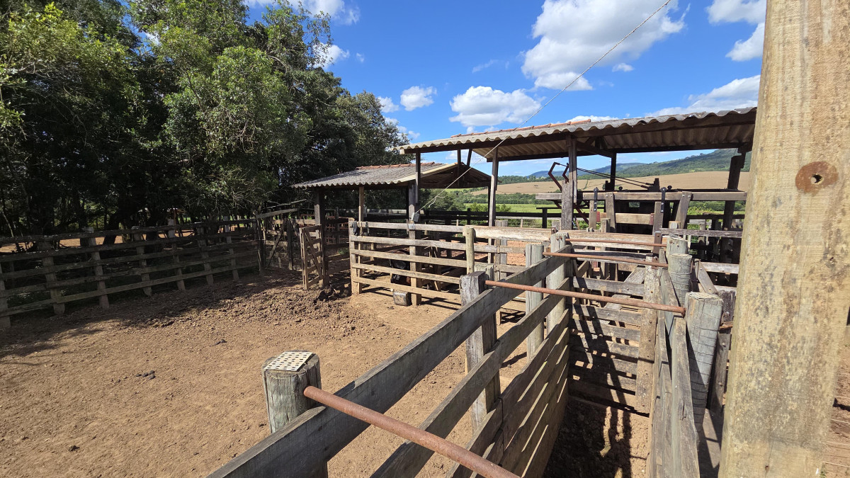 Chácara, 3 quartos, 92 hectares - Foto 12