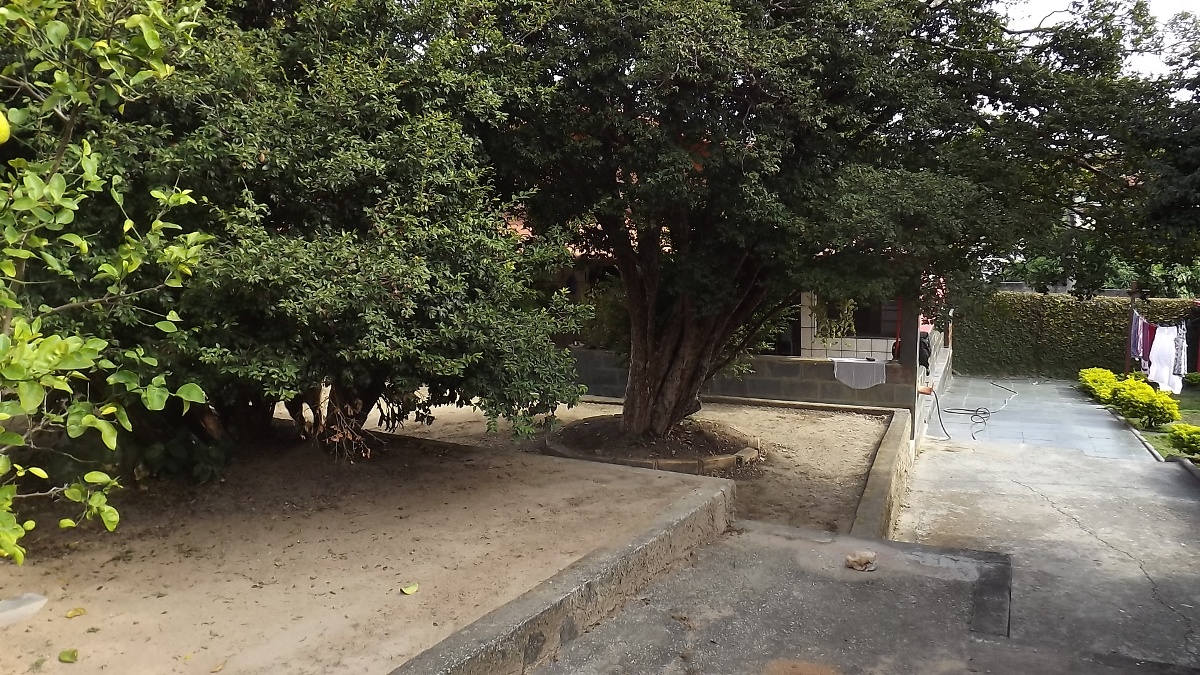 Casa, 2 quartos, 600 m² - Foto 14