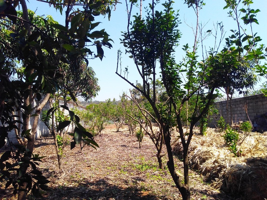 Terreno, 1015 m² - Foto 1