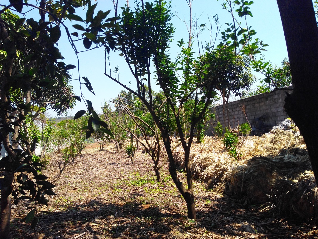 Terreno, 1015 m² - Foto 2