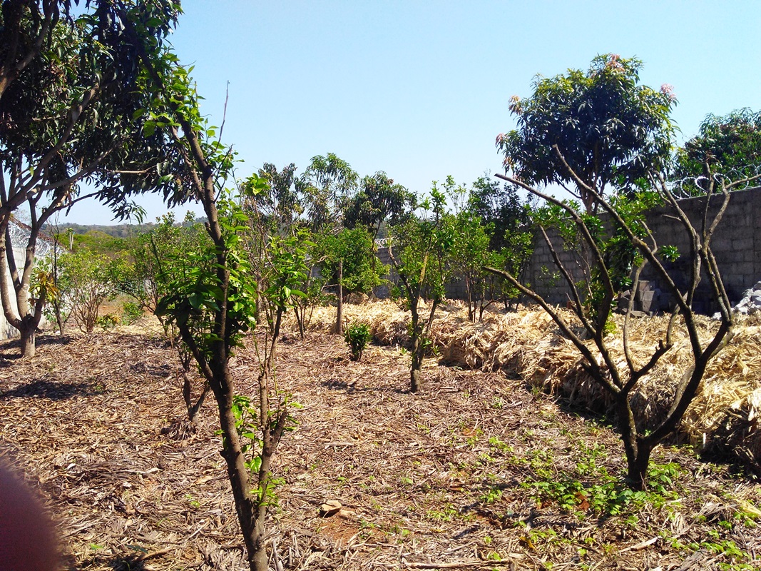 Terreno, 1015 m² - Foto 4