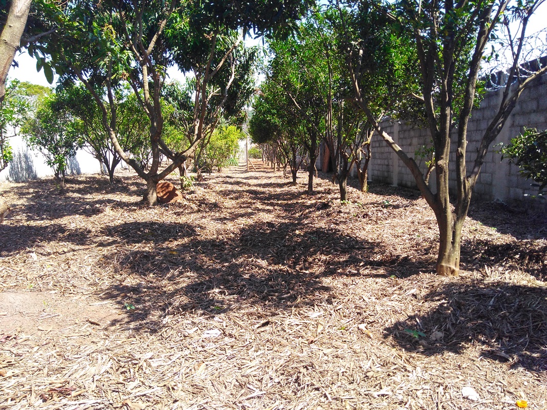 Terreno, 1015 m² - Foto 7