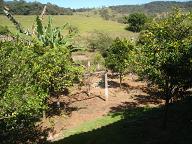 Chácara, 3 quartos - Foto 18