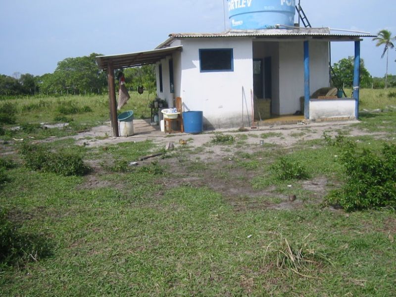 Chácara, 1 quarto - Foto 12