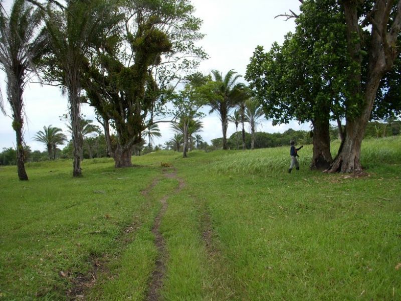 Chácara, 1 quarto - Foto 11