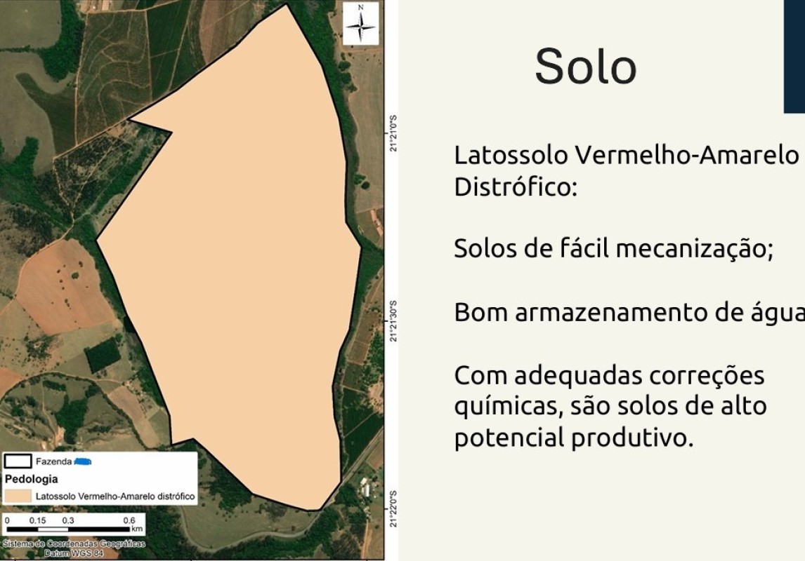 Fazenda, 212 hectares - Foto 21