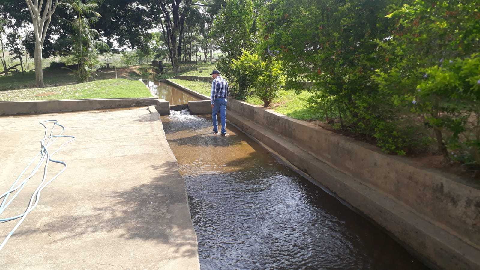 Fazenda, 206 hectares - Foto 24