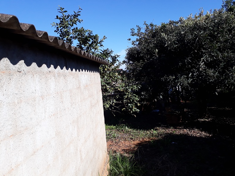 Terreno, 3804 m² - Foto 6