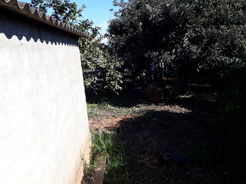 Terreno, 3804 m² - Foto 7