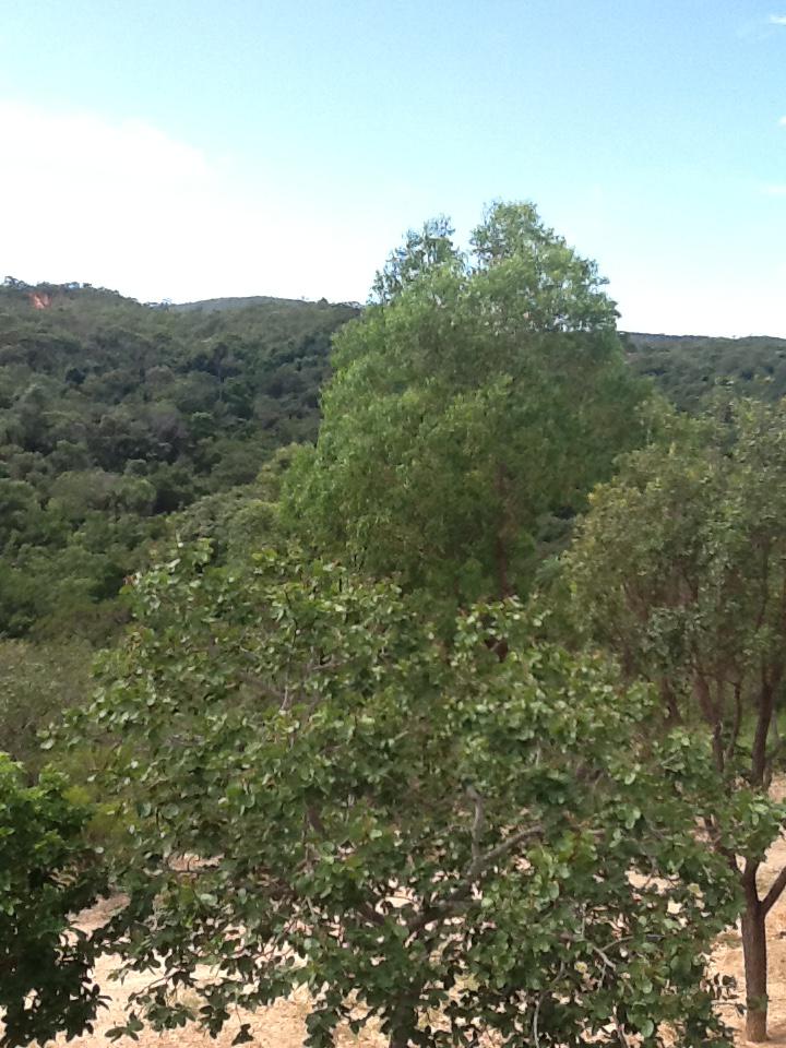 Chácara, 1 quarto, 2 hectares - Foto 7