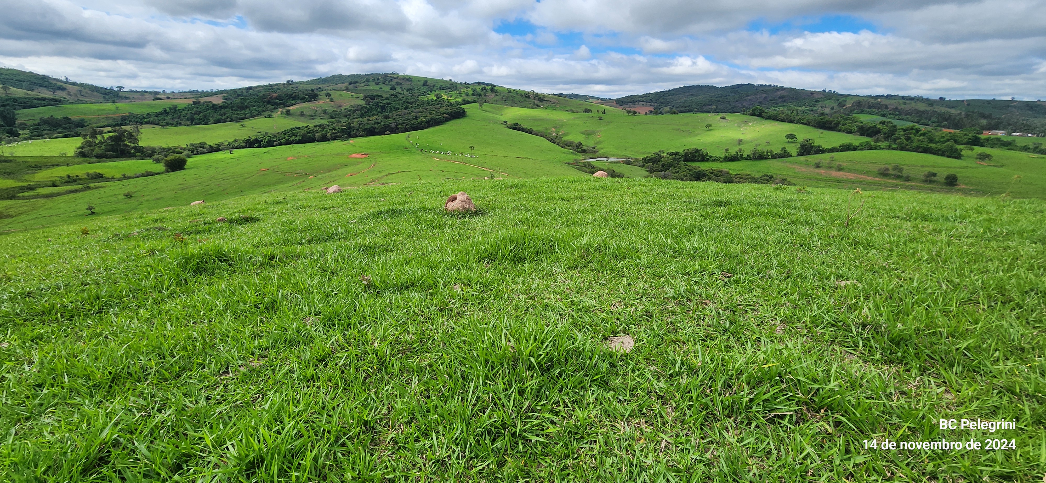Fazenda, 3 quartos - Foto 13