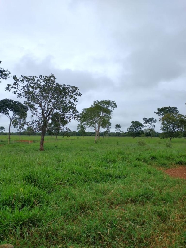 Sítio, 1 quarto, 60 m² - Foto 4