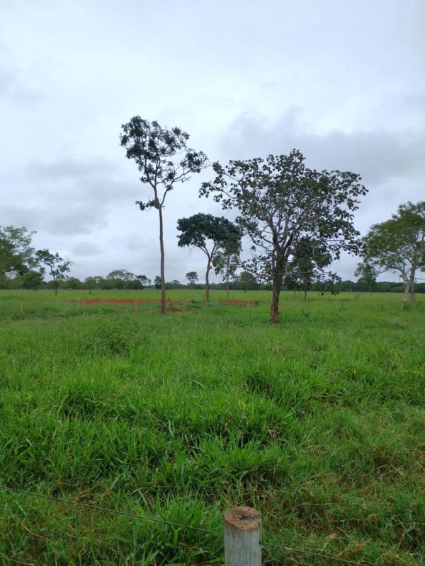 Sítio, 1 quarto, 60 m² - Foto 20