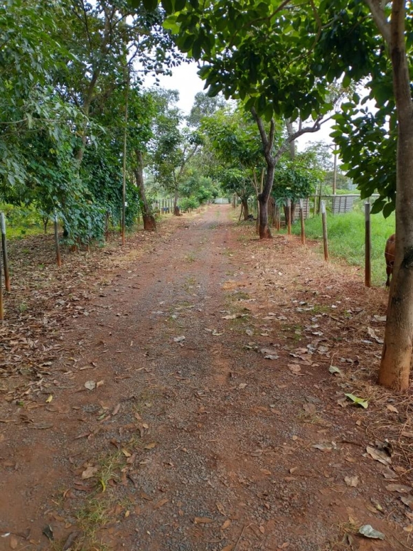 Sítio, 1 quarto, 60 m² - Foto 19